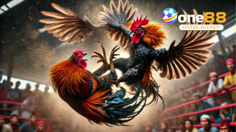 Đá Gà Cựa Sắt